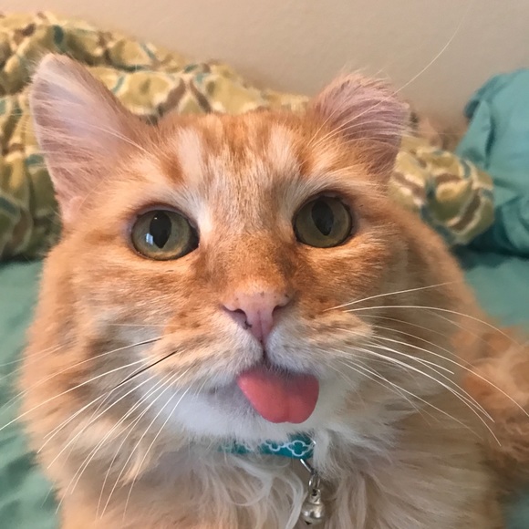 Meet your Posher, Valerie - Picture 1 of 1